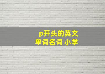 p开头的英文单词名词 小学